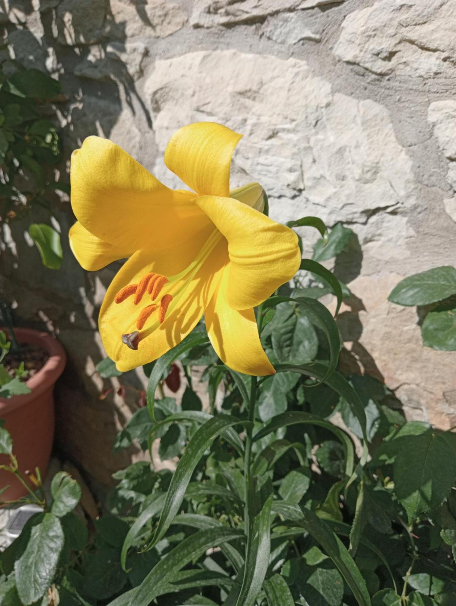 לינה וארוחת בוקר Bebbio Casale Monte Valestra חדר תמונה